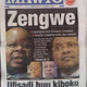 Tanzanian weekly Mawio was banned for two years for linking two former presidents to a government probe into allegations of misconduct in the mining sector.